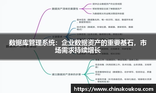 数据库管理系统：企业数据资产的重要基石，市场需求持续增长