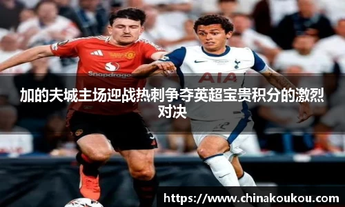 加的夫城主场迎战热刺争夺英超宝贵积分的激烈对决