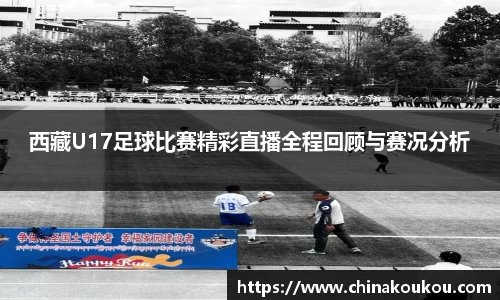 U8国际平台